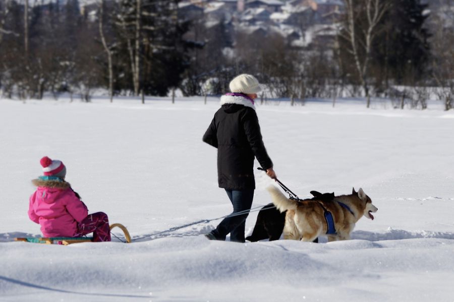 Winterwandern